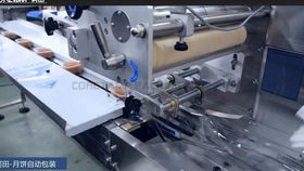 辣椒酱料包装机械 液体自动计量包装机械设备