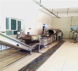 江苏薯条燃气加热油炸流水线 国邦食品机械